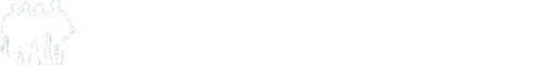 EMSI